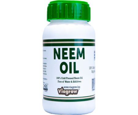 G125 VNEEM32