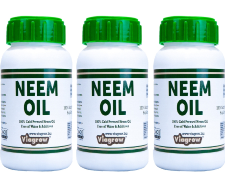 G125 VNEEM840