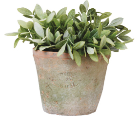 Round Pot Aged Terracotta