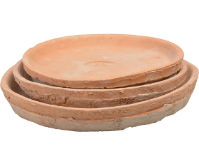 Aged Tc Saucers For At21
