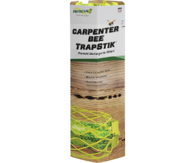 Carpenter Bee Trapstik