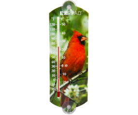 THERMOMETER 10