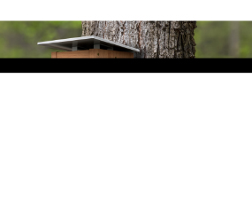 Modern Bluebird House