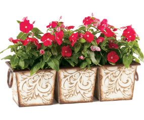 Planter 3 Pot Venetian