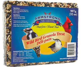 Granola Treat