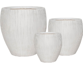 C102 10055WH
