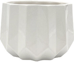 C102 50001WH