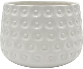 C102 50003WH