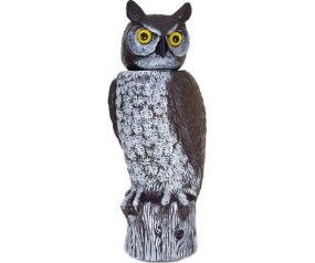 Owl Rotating Head