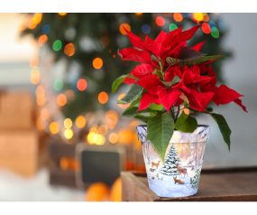 GreenWoodland Scene Tree Pot