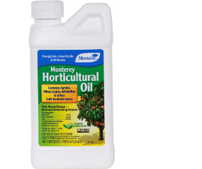 Horticultural Oil Pt