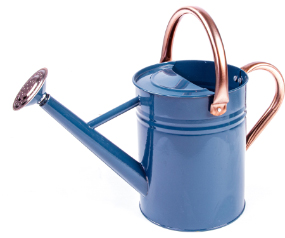 1 Gal Watering Can Midngt Blue