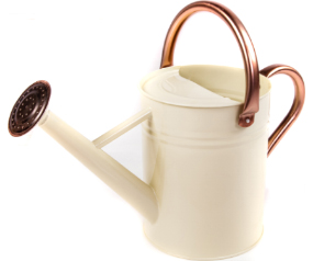 1 Gal Watering Can Vint Cream