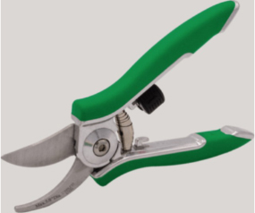 Compact Pruner Green