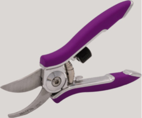 Compact Pruner Berry