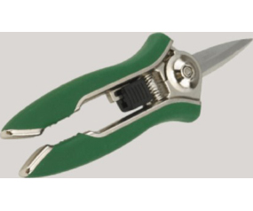 Comapct Shear  Green