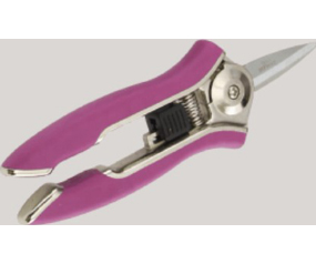 Comapct Shear  Berry