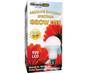 Absolute Daylight Led