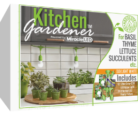 Kitchen Gardener Kit