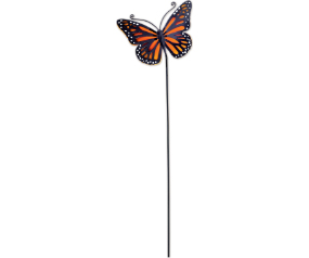 Butterfly Orange