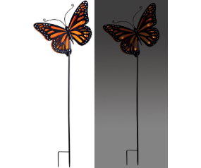 Solar Orange Butterfly