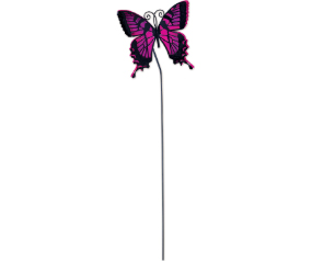 Butterfly Pink