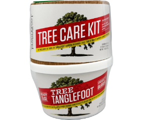 Tanglefoot Tree Care Kit