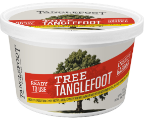 Tanglefoot Tree Tanglefoot