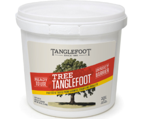 Tanglefoot Tree Tanglefoot