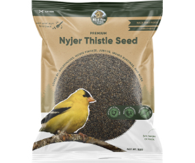 Premium Nyjer Thistle Seed