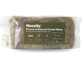 M95 FORN0001