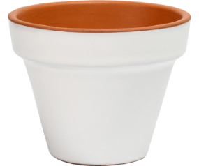 D03 DERE14WHITE