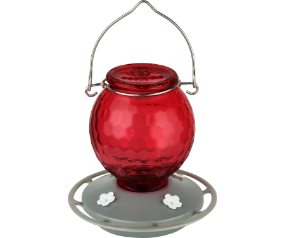 EcoCycle Crimson Comb Recycled