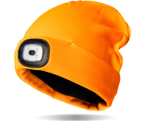 D37 NGSPRTORG