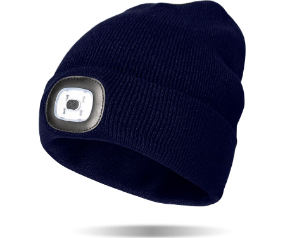 D37 NGTSNVY