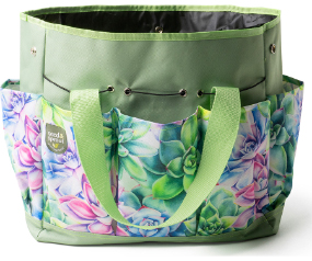 D37 SNSBAG2SC