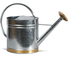 Oval Galvanized Watering Can