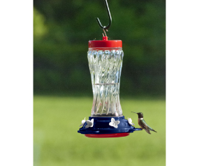 Feedr Rw&B Swirl Hummingbird