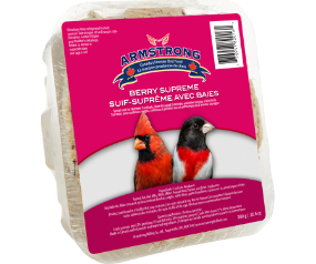 Berry Supreme Suet