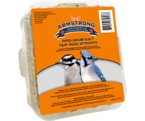Insect Suet