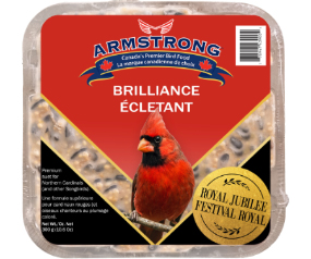 R J Brilliance Suet (3 Pack)