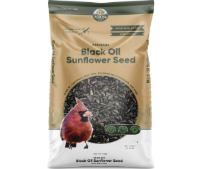 Premium Black Oil Sunflower
