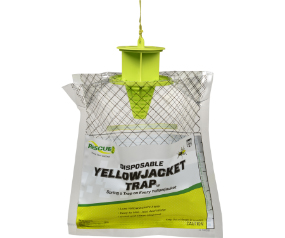 Yellowjacket Trap Disposable