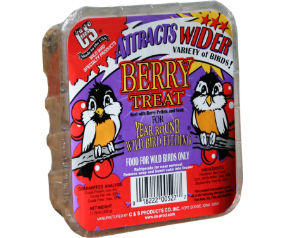 SUET BERRY TREAT 11.75 OZ