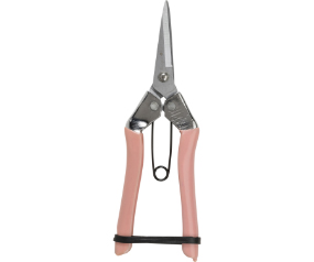 C76 GCCFFSPINK