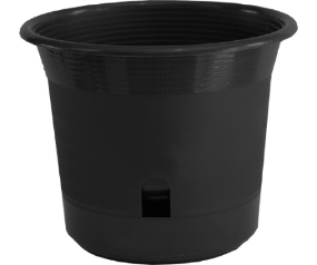 A34 AP44527BLK