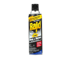 Raid 14oz Wasp & Hornet Spray