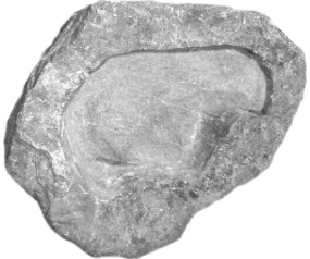 P69 06893