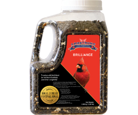 RJ Brilliance Jug