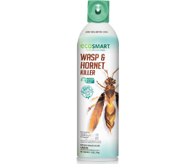 Wasp/Hornet Killer 14oz